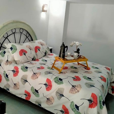 Apartamento Precioso loft en Conil de la Frontera Exterior foto